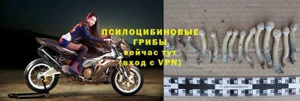 прущие крисы Армянск