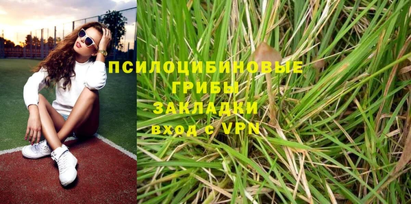 прущие крисы Армянск