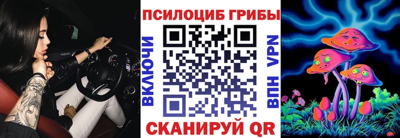 Псилоцибиновые грибы Psilocybine cubensis  Крым 